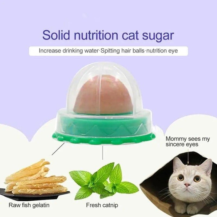 Round Catnip Ball with Dust Cover - themiraclebrands.com