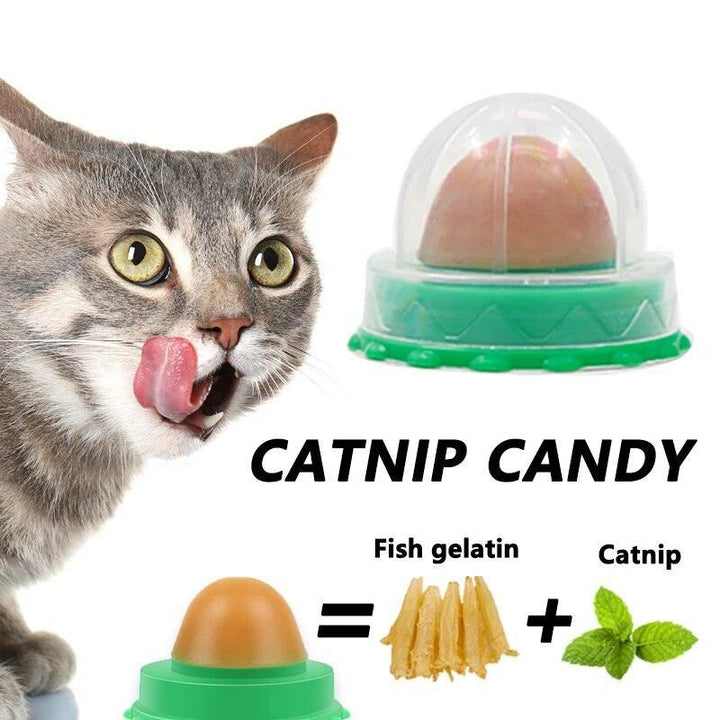 Round Catnip Ball with Dust Cover - themiraclebrands.com