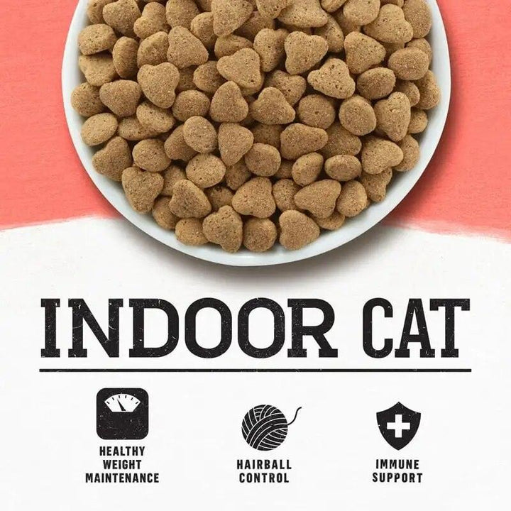 Salmon Sweet Potato Cat Food 11lb - themiraclebrands.com