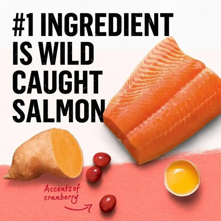 Salmon Sweet Potato Cat Food 11lb - themiraclebrands.com