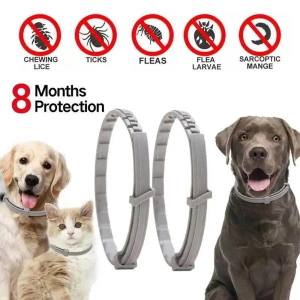 SEISSO Pet Anti-Flea Collar 8 Months Protection - themiraclebrands.com