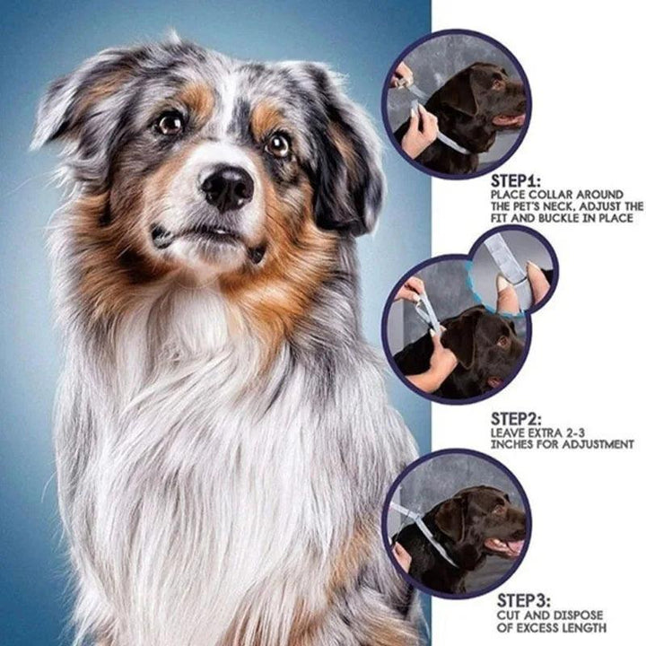 SEISSO Pet Anti-Flea Collar 8 Months Protection - themiraclebrands.com