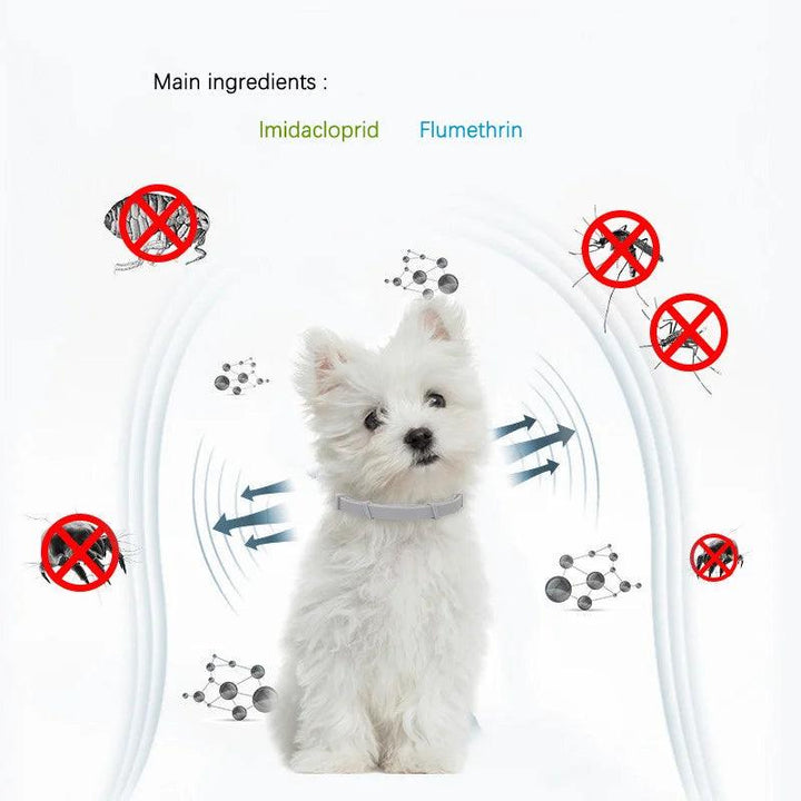 SEISSO Pet Anti-Flea Collar 8 Months Protection - themiraclebrands.com