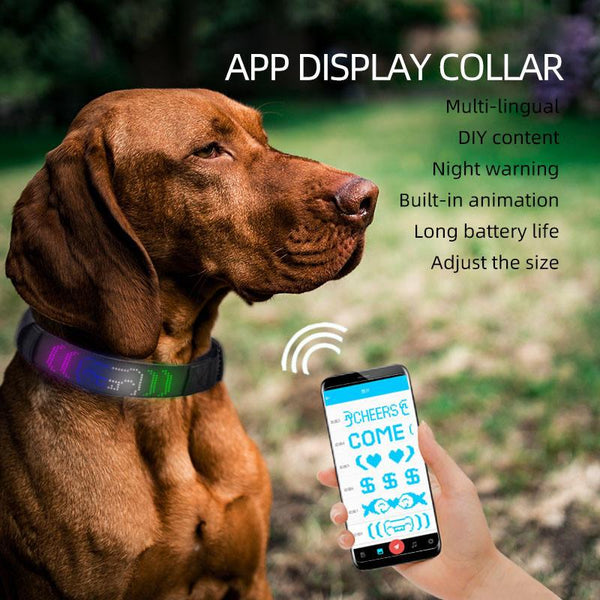 Smart Paws LED Dog Collar - themiraclebrands.com