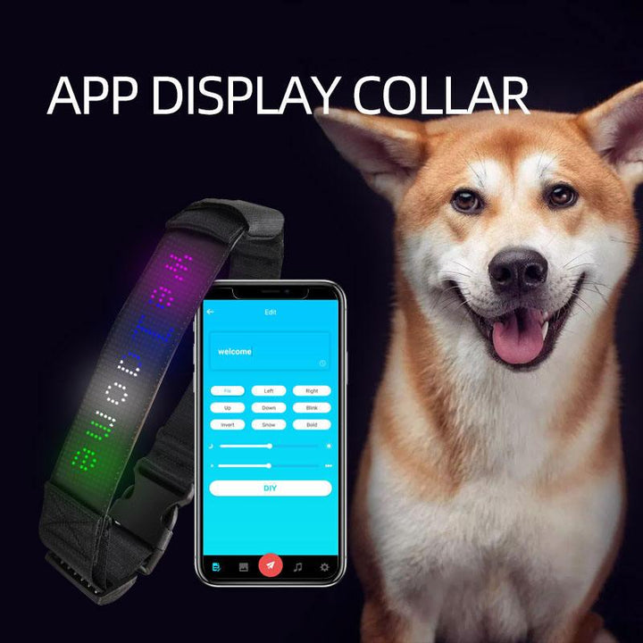 Smart Paws LED Dog Collar - themiraclebrands.com