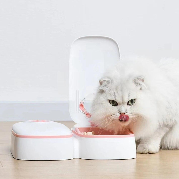 Smart Pet Feeder Automatic Dispenser 48-Hour Timer - themiraclebrands.com