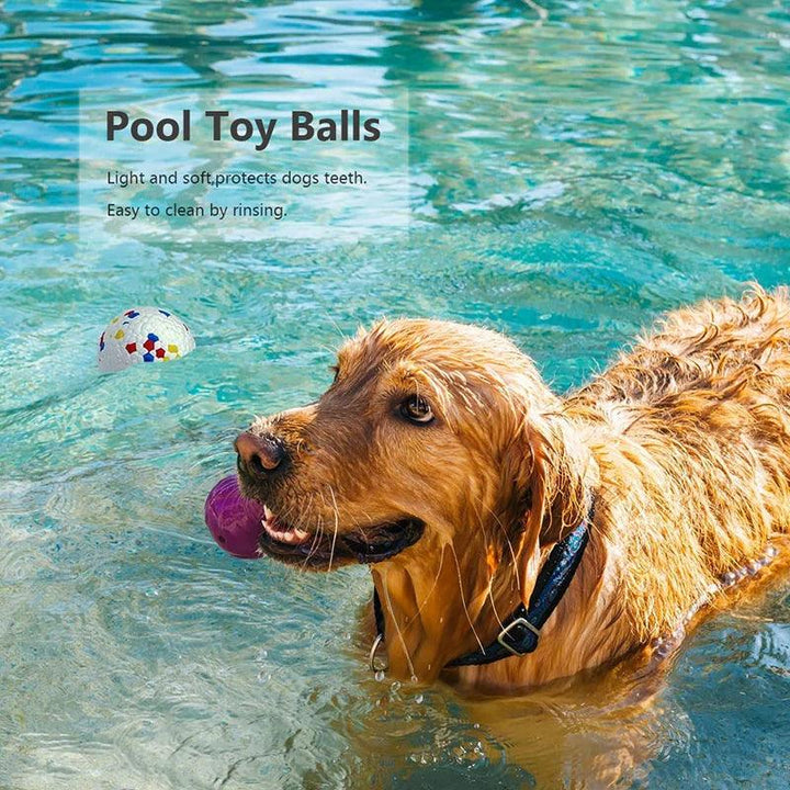 Solid Bite-Resistant Dog Ball Toys - themiraclebrands.com