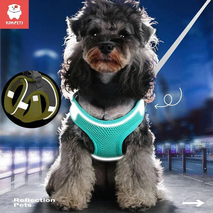 Stylish Dog Vest Harness - themiraclebrands.com