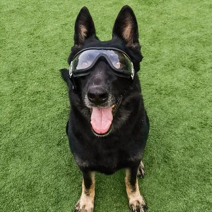 Stylish UV Protection Pet Goggles - themiraclebrands.com