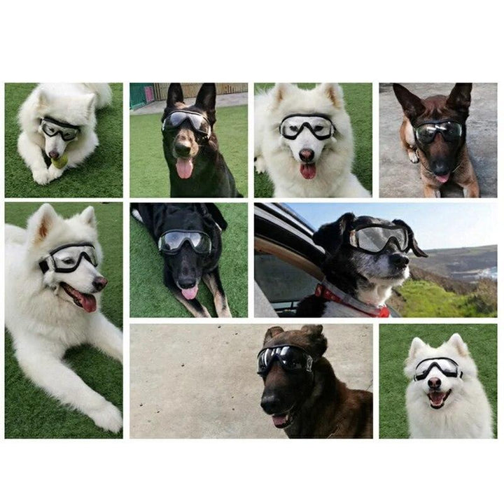 Stylish UV Protection Pet Goggles - themiraclebrands.com