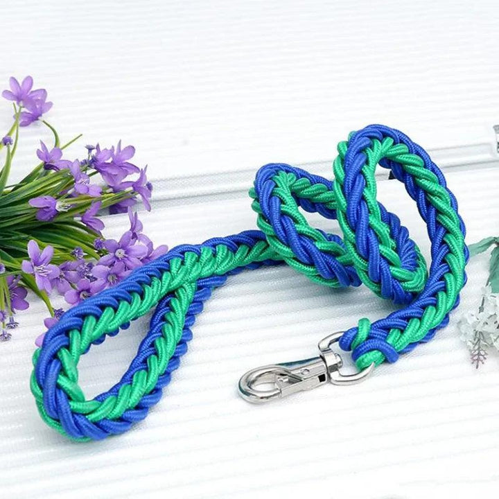 Super Strong Nylon Dog Leash Medium-Large Breed - themiraclebrands.com