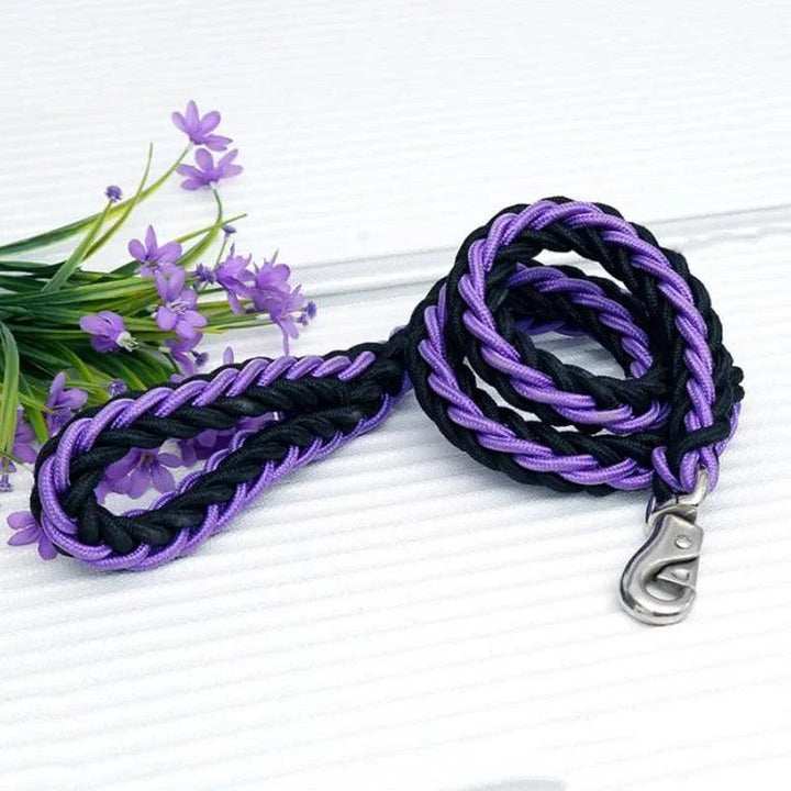 Super Strong Nylon Dog Leash Medium-Large Breed - themiraclebrands.com