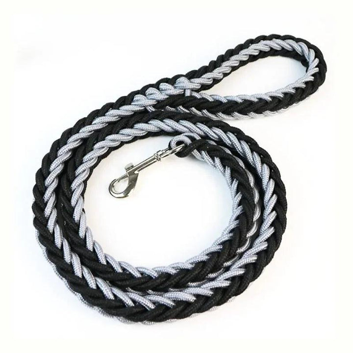 Super Strong Nylon Dog Leash Medium-Large Breed - themiraclebrands.com