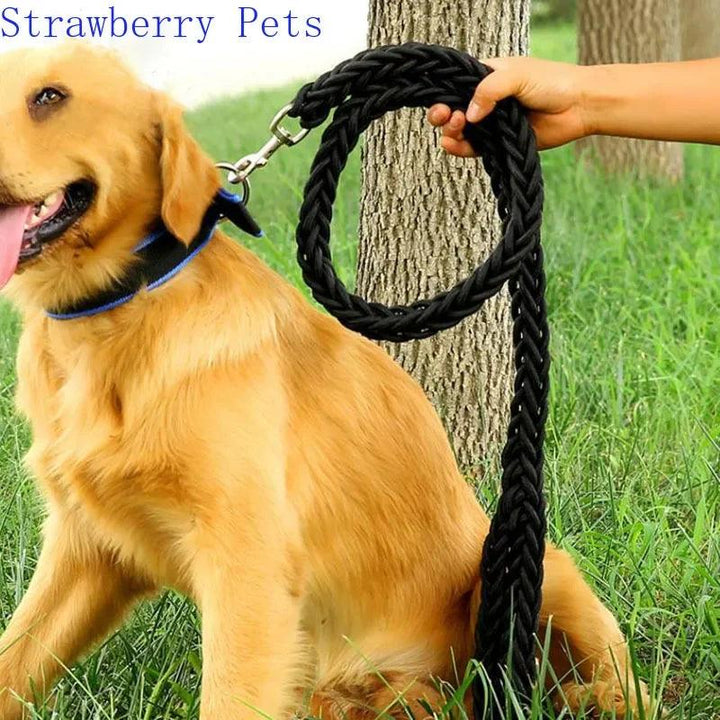 Super Strong Nylon Dog Leash Medium-Large Breed - themiraclebrands.com