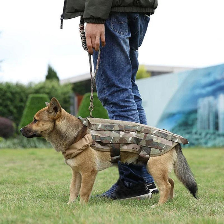 Tactical Dog Training Leash with Military Buckle - themiraclebrands.com