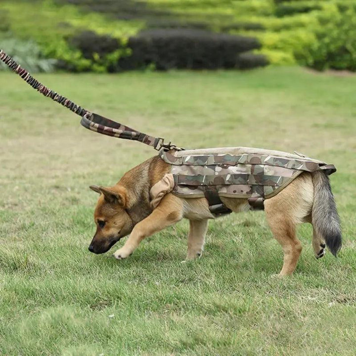 Tactical Dog Training Leash with Military Buckle - themiraclebrands.com