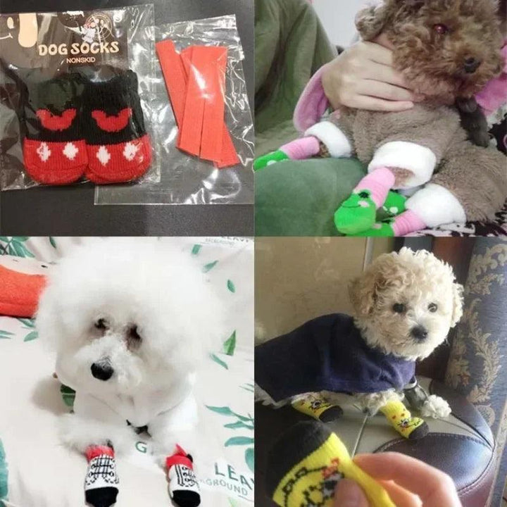 Teddy Christmas Shoes 4Pcs Cat Dog Socks - themiraclebrands.com