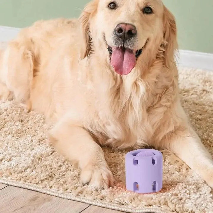 Tennis Tumble Puzzle Toy for Cats and Dogs - themiraclebrands.com