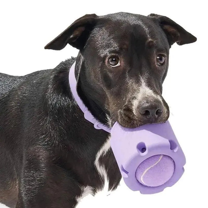 Tennis Tumble Puzzle Toy for Cats and Dogs - themiraclebrands.com