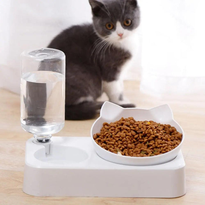 Tilted Pet Bowl 15° Cervical Protection - themiraclebrands.com