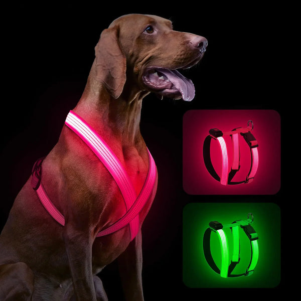Rechargeable LED Safety Dog Harness