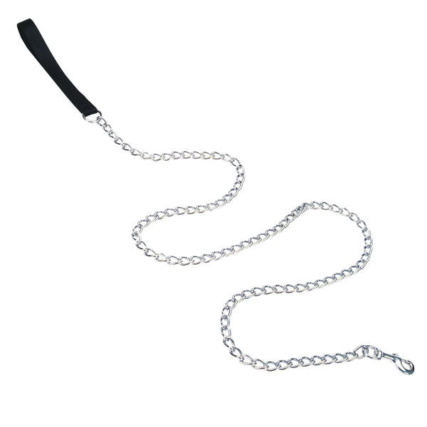 Coastal Pet Heavy-Duty Metal Dog Leash - Chew-Proof