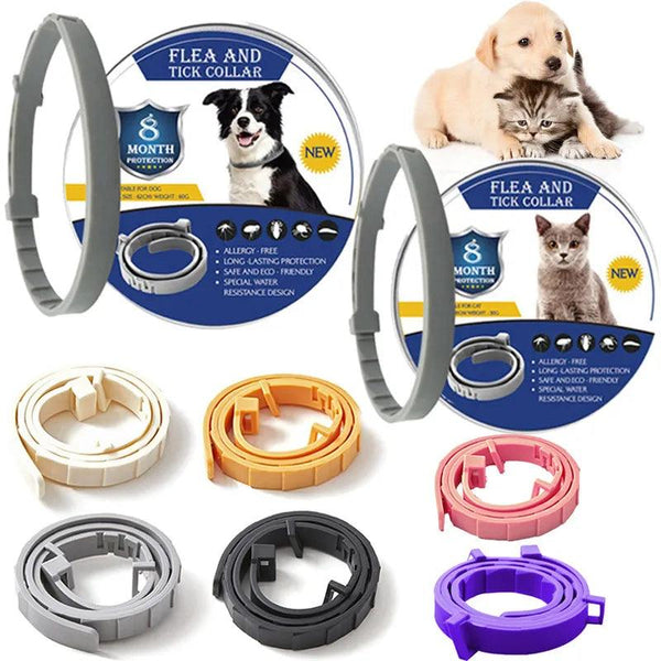 Vet-Recommended Anti-Flea Dog Collar - themiraclebrands.com