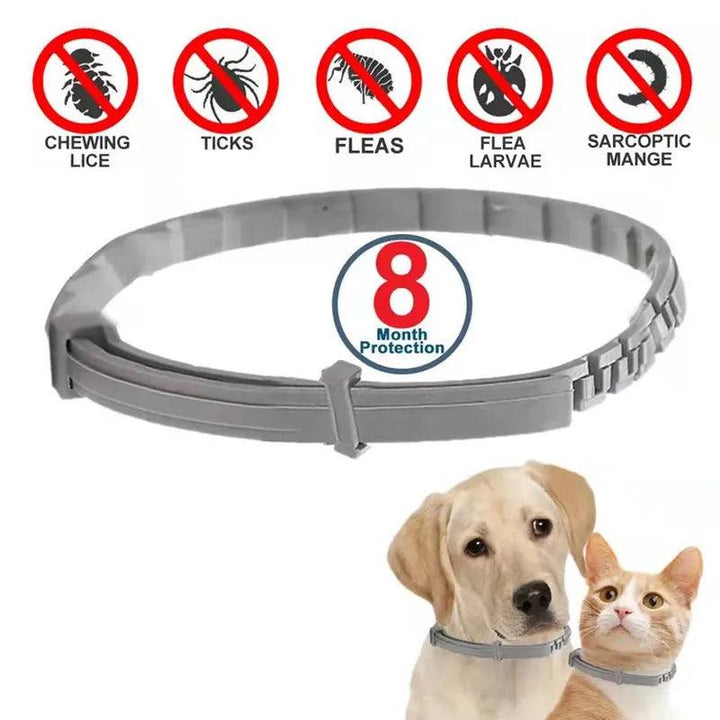 Vet-Recommended Anti-Flea Dog Collar - themiraclebrands.com