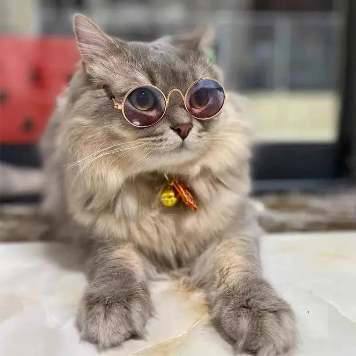 Vintage Round Pet Sunglasses - themiraclebrands.com