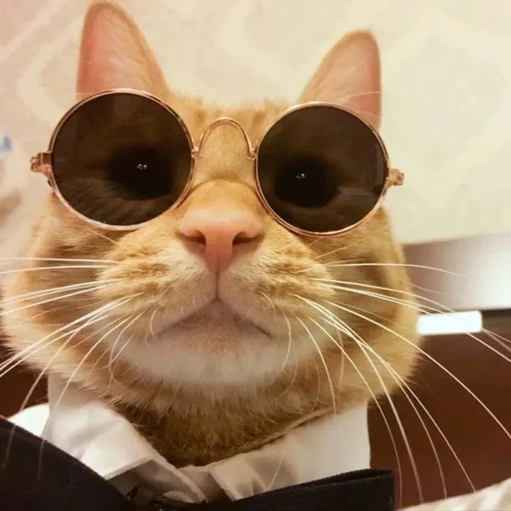 Vintage Round Pet Sunglasses - themiraclebrands.com