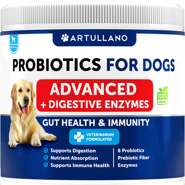 Digestive Health Chews for Dogs - Probiotics & Enzymes