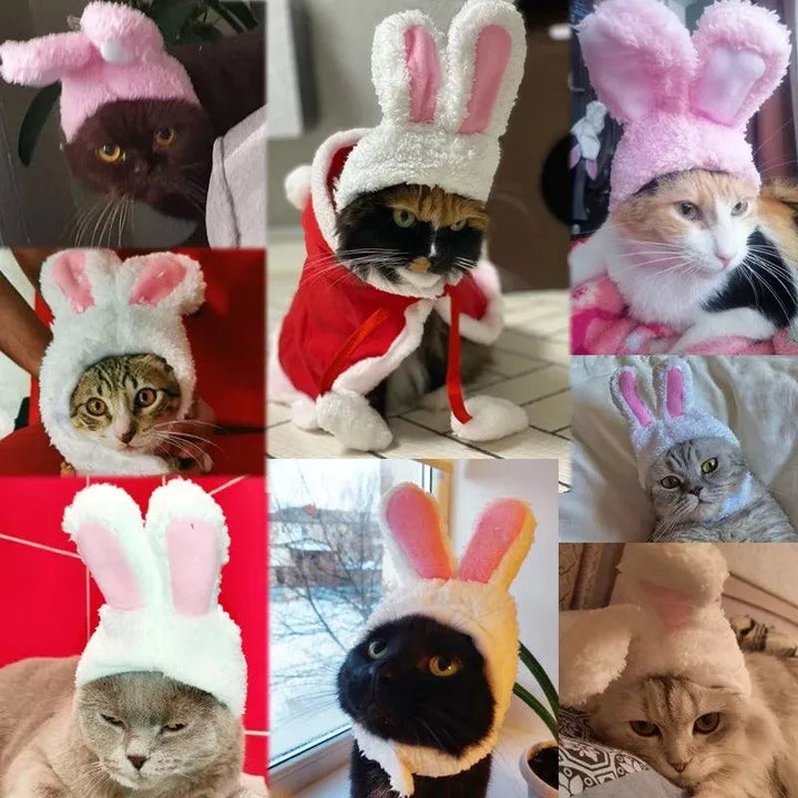 Warm and Whimsical Pet Rabbit Hat Costume Cap - themiraclebrands.com