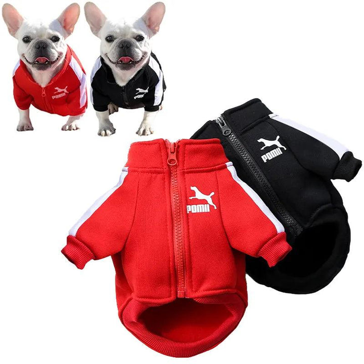 Winter Baseball Dog Jacket Pet Hoodie - themiraclebrands.com