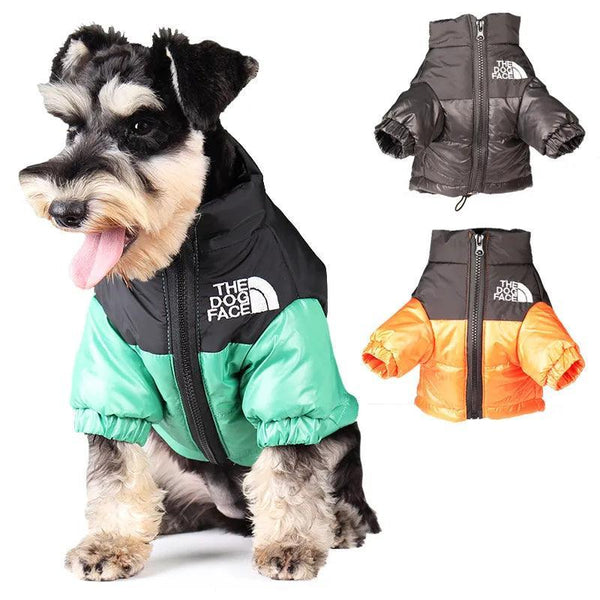 Winter Dog Jacket for French Bulldog - themiraclebrands.com