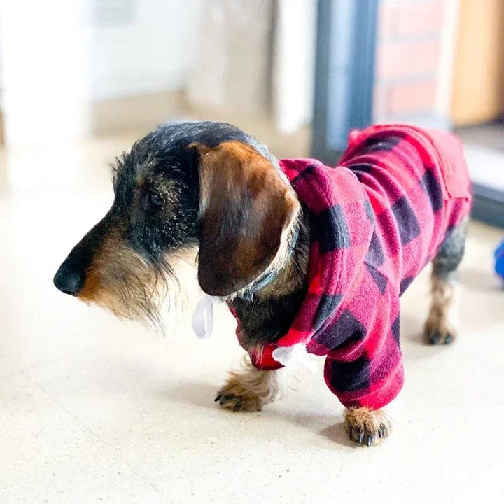 Winter Warm Dog Hoodies for Cozy Comfort - themiraclebrands.com