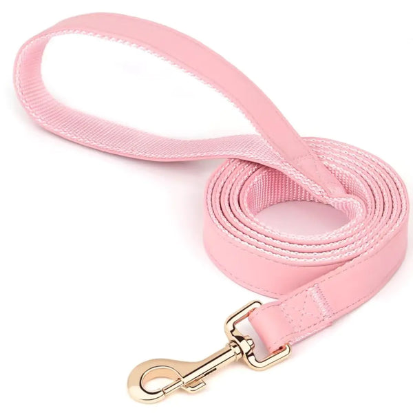 PET ARTIST Vibrant Leather Dog Leash 5ft