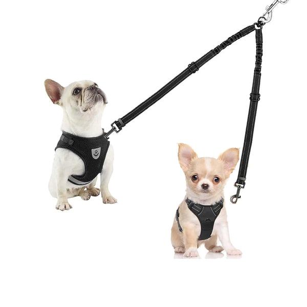 Twin Tangle-Free Dog Leash with 360 Swivel