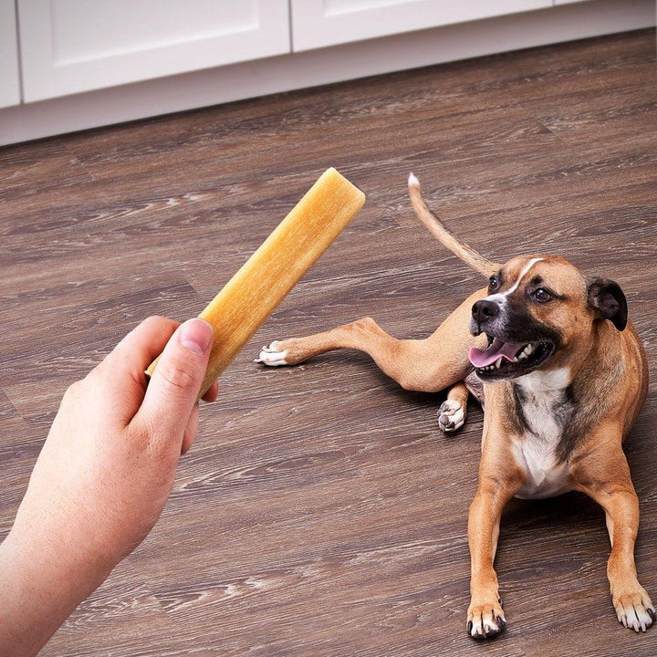 Bacon Cheese Munchy Bone Dog Treats 7 Count - themiraclebrands.com