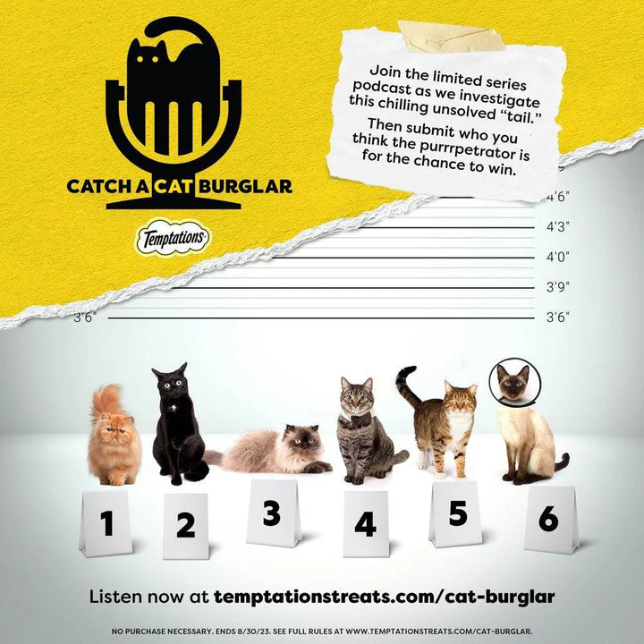 Birthday Cat Treats Lobster Beef Flavor 6.3 Oz - themiraclebrands.com