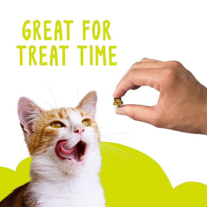 Cat Treats Party Mix Beachside Crunch 2.1 Oz - themiraclebrands.com