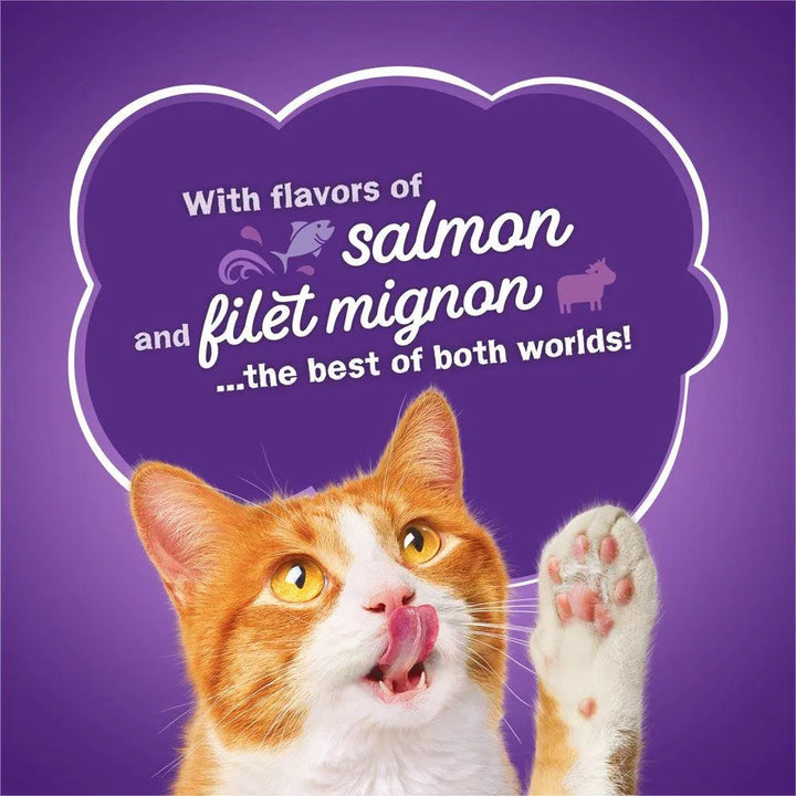Dry Cat Food Surfin Turfin Favorites 3.15lb Bag - themiraclebrands.com