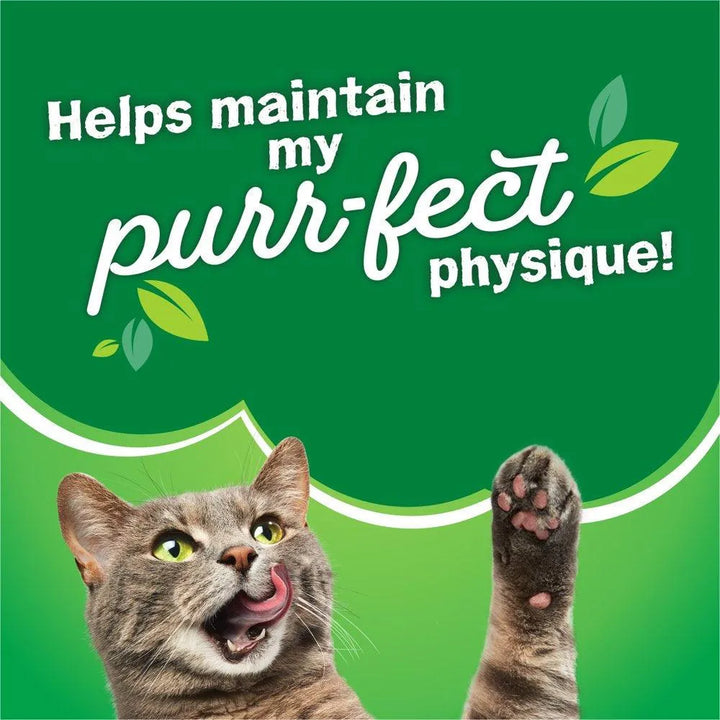 Dry Cat Food Surfin Turfin Favorites 3.15lb Bag - themiraclebrands.com