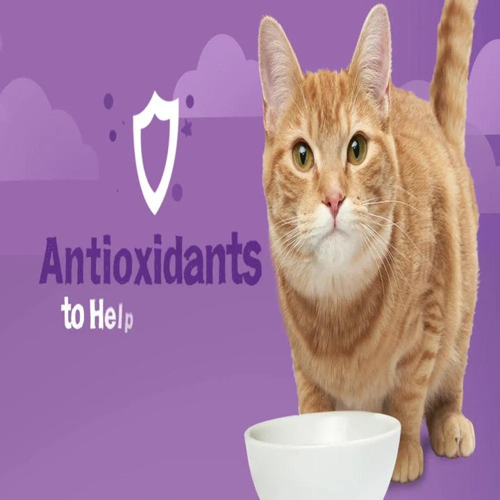 Dry Cat Food Surfin Turfin Favorites 6.3lb Bag - themiraclebrands.com