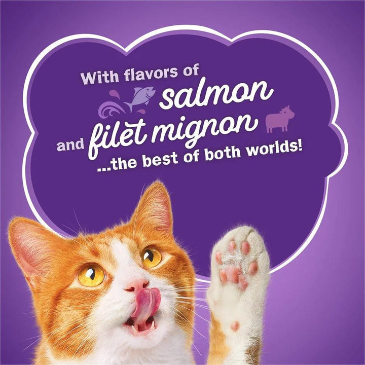 Dry Cat Food Surfin Turfin Favorites 6.3lb Bag - themiraclebrands.com