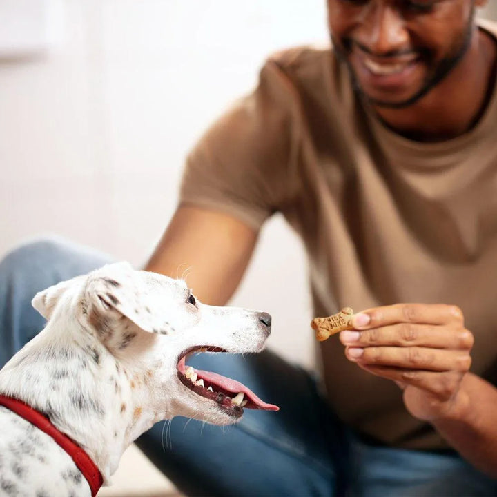Flavor Snacks Mini Dog Biscuits 15 Oz - themiraclebrands.com
