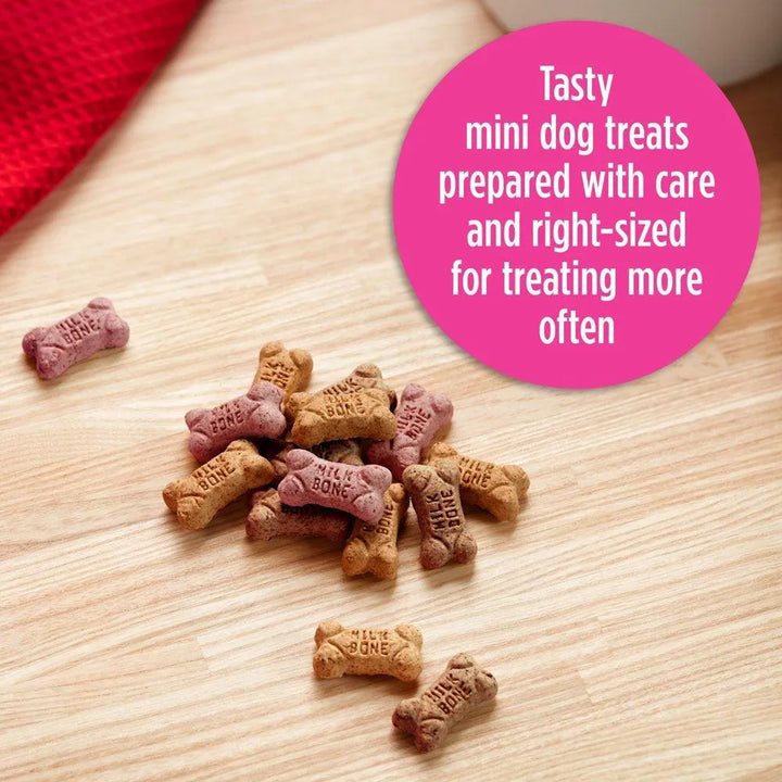Flavor Snacks Mini Dog Biscuits 15 Oz - themiraclebrands.com