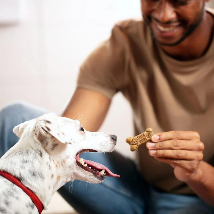 Flavor Snacks Small Dog Biscuits 24 Oz - themiraclebrands.com