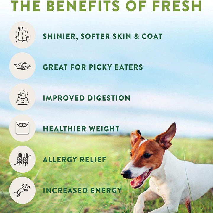 Healthy Natural Dog Food 3 Lb - themiraclebrands.com