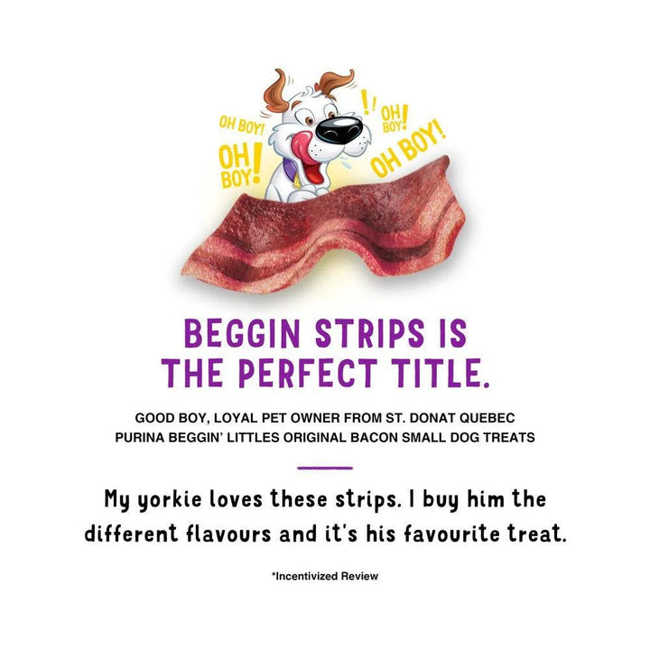 Purina Dog Treats Fun Size Bacon 25 Oz - themiraclebrands.com