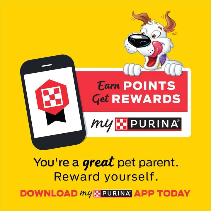 Purina Dog Treats Fun Size Bacon 25 Oz - themiraclebrands.com